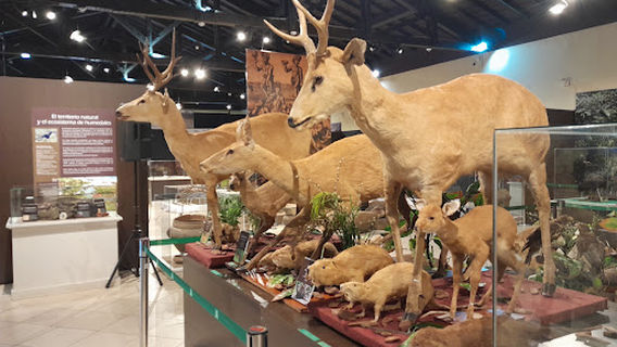 Public Relations EBY