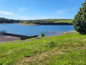 Llys-y-fran Reservoir