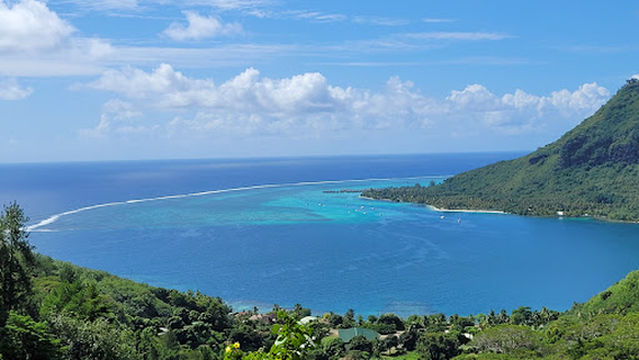 Torea Nui Transports & Activités Moorea