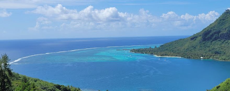 Torea Nui Transports & Activités Moorea