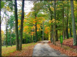 Sycamore Springs Park