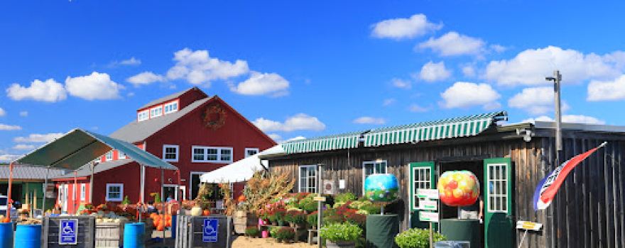 Carlson Orchards, Inc