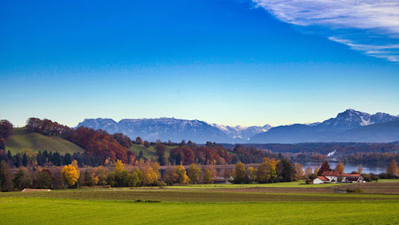 Tachinger See