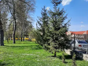 Zbarazʹkyy Tsentralʹnyy Stadion