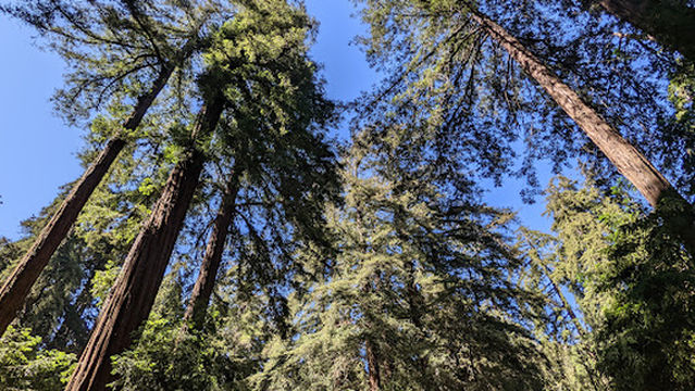 Riverside Campground & Cabins