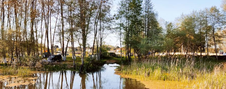 Ormantik Park
