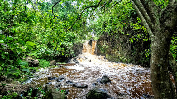 Mbarara River Rwizi Falls