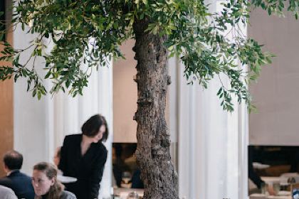 Ferilli’s Specialita UpTown BV