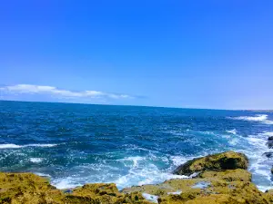 Casino beach