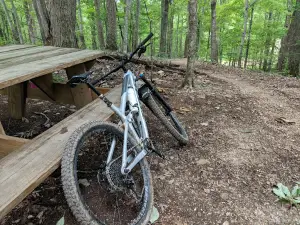 Mill Creek Picnic Table