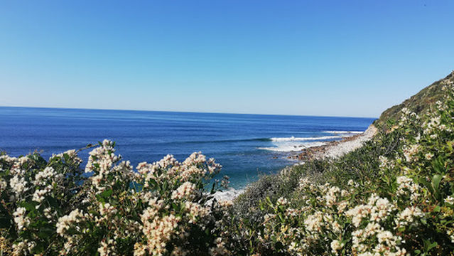 Mahi-Mahi Surf School, School And During Surf De Biarritz