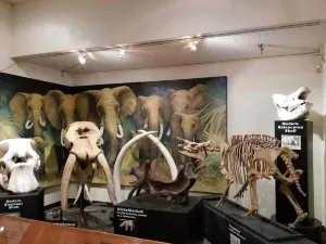 Las Vegas Natural History Museum