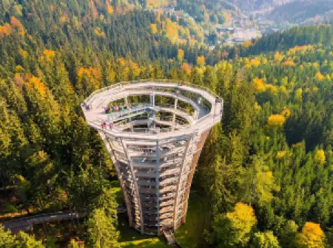 The Timber Trail, Krkonoše