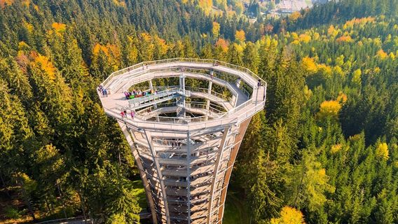 The Timber Trail, Krkonoše