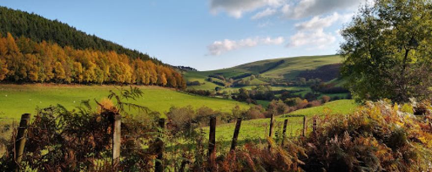 Warren Wood