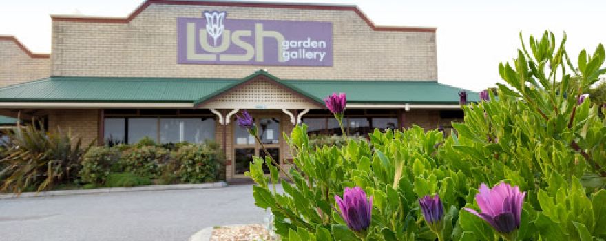 Lush Garden Gallery
