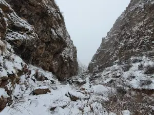 Эко-Зона "Cүйіндік"