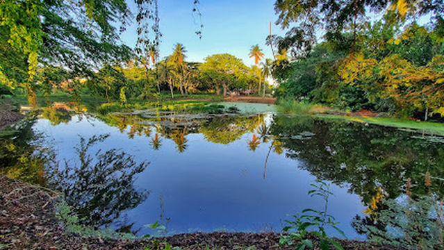 Courland Bay Heritage Park