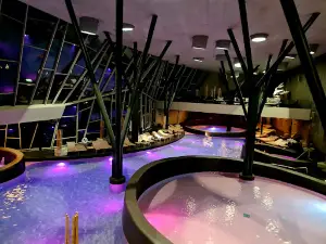 Terme Olimia D.D.