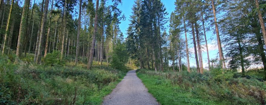 Smaelog Woods