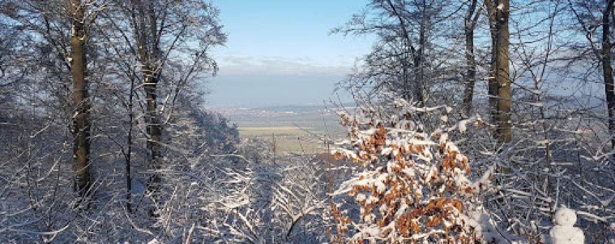 Gipfelkreuz auf dem Tosmarberg