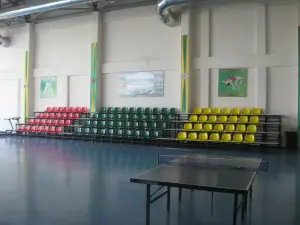 Sport Toplumy