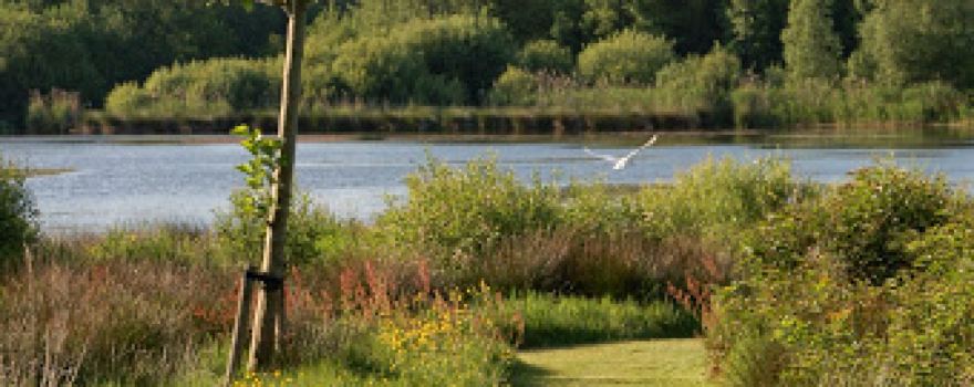 Camping De Watermolen