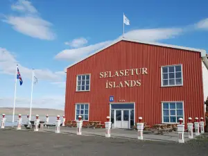 Icelandic Seal Center