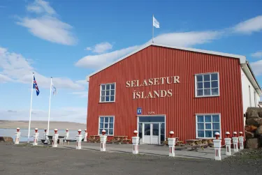 Icelandic Seal Center