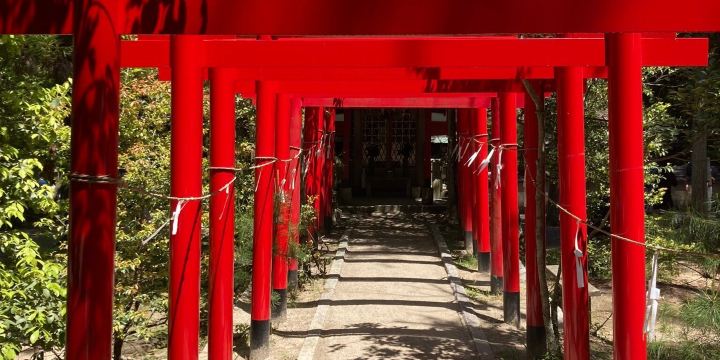 Ueno Park