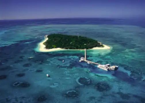 Great Adventures Cruises- Cairns