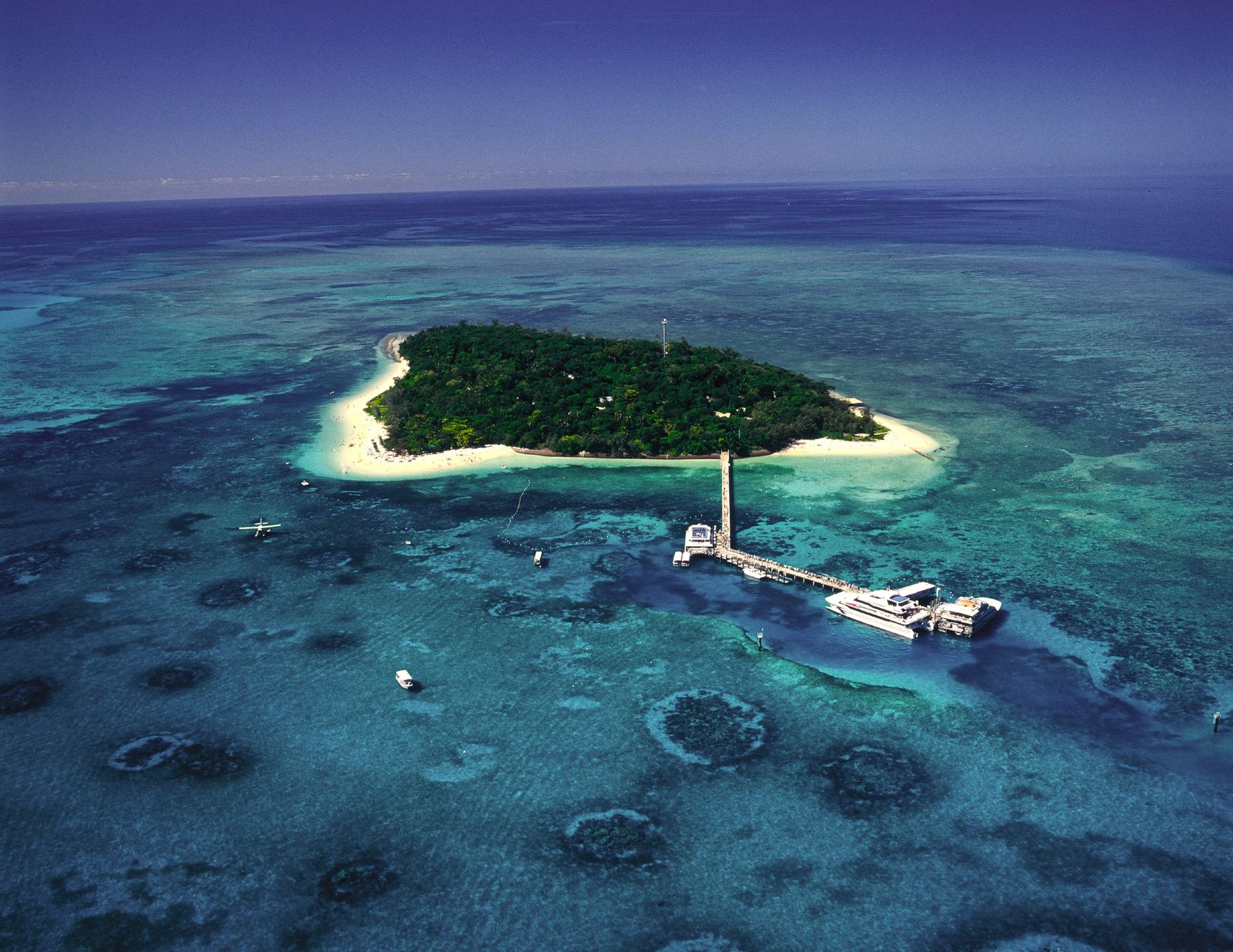 Cairns Adventure Day Tour [Optional Green Island/Outer Reef/Green Island + Outer Reef]