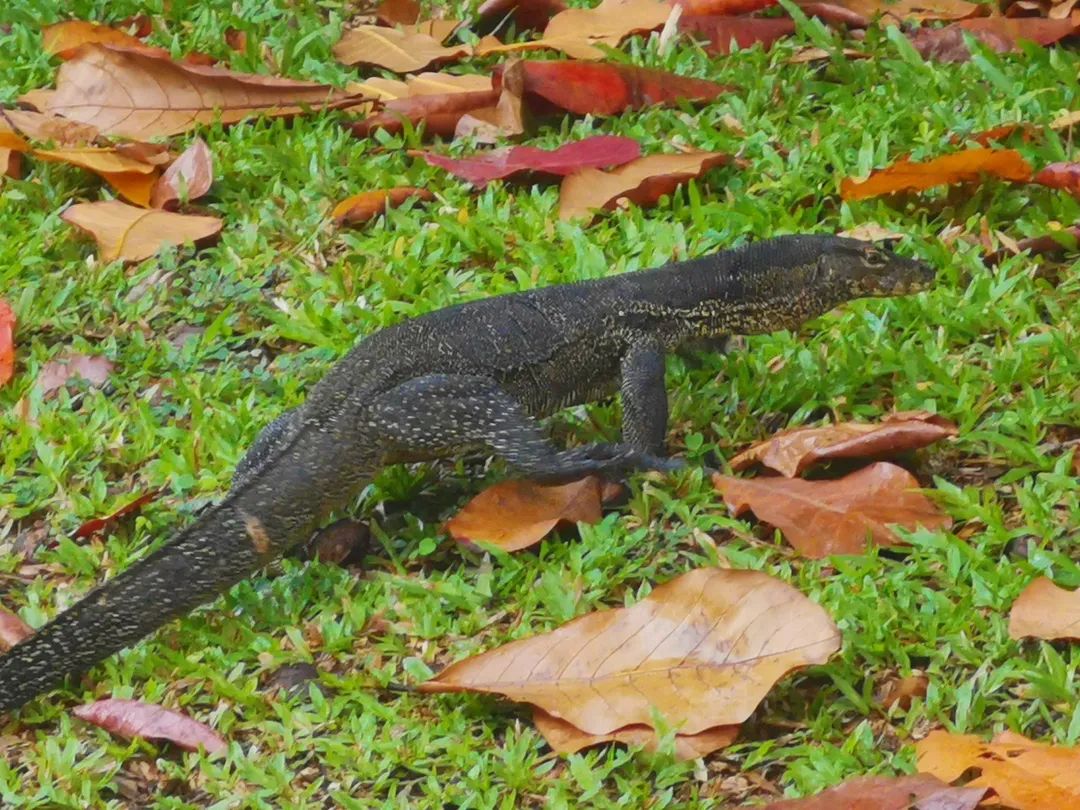 5_Sengkang Riverside Park