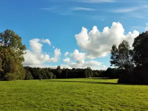 Öjendorfer Park