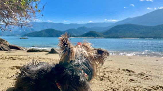 Praia Ilha do Pelado