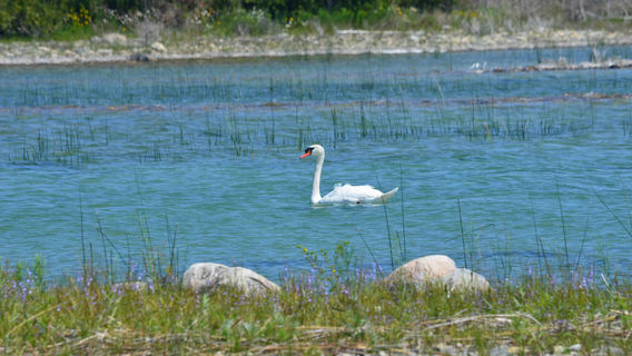 Wilderness State Park