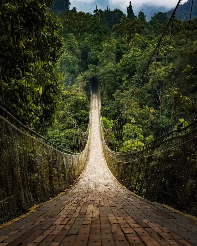 Hôtels à : Kadudampit