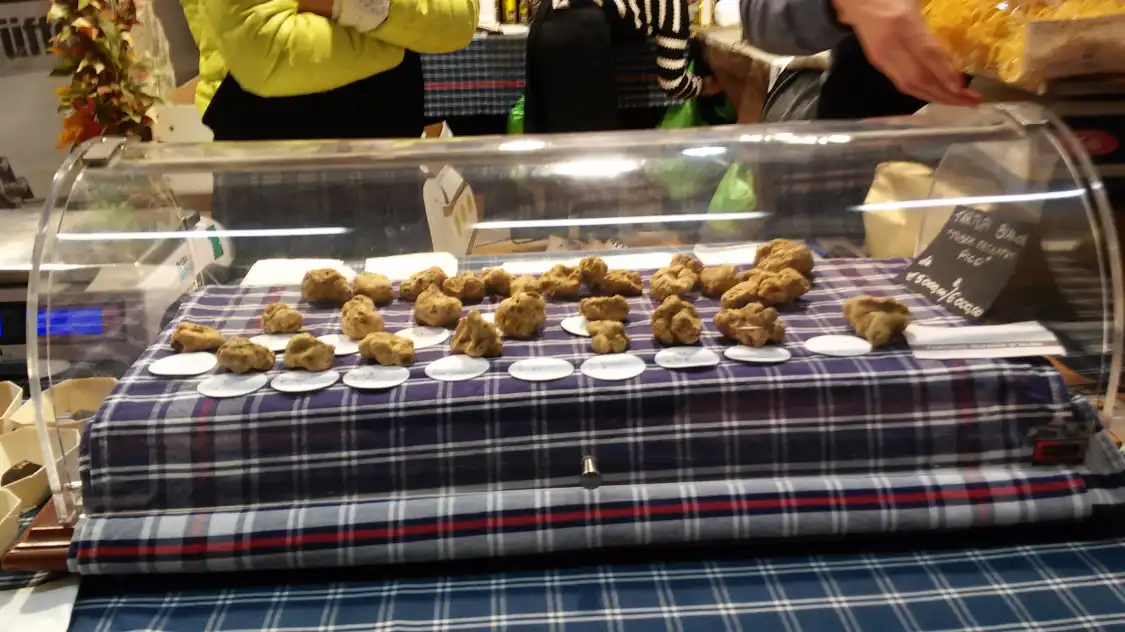 Hotels near International Alba White Truffle Fair