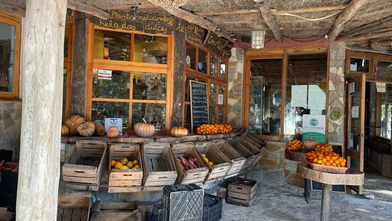 Rancho Cortesano - Museo de la Miel