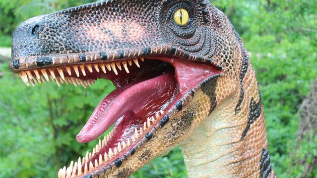 Tropical Butterfly House Wildlife Conservation Park