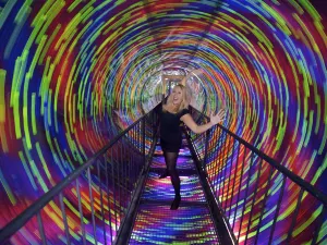 Camera Obscura & World of Illusions