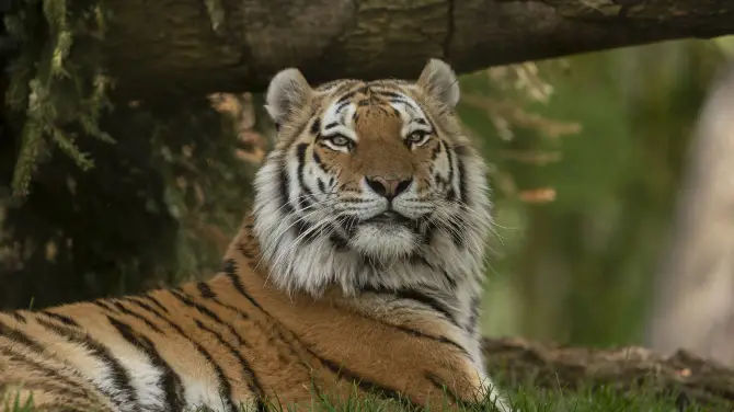 5_Marwell Zoo
