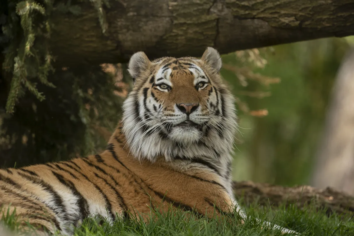 5_Marwell Zoo