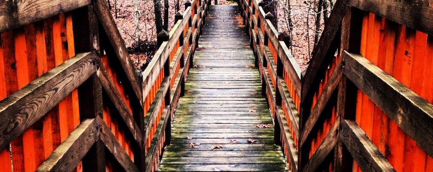 Hawn State Park