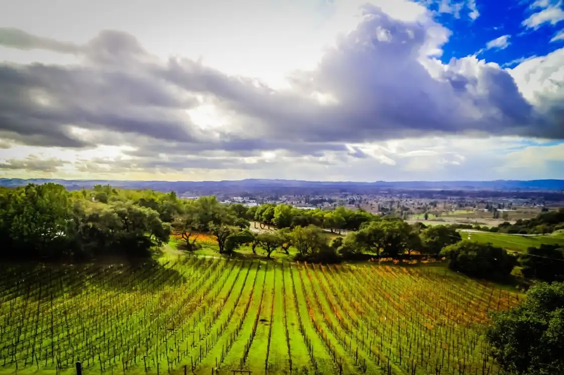 Hotels near Paradise Ridge Winery