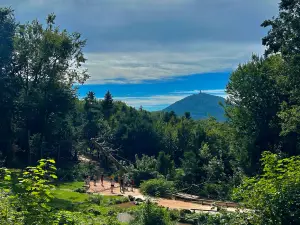 La Montagne des Singes