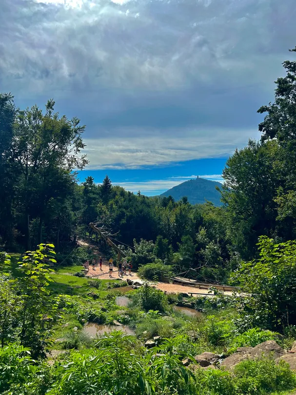 1_La Montagne des Singes