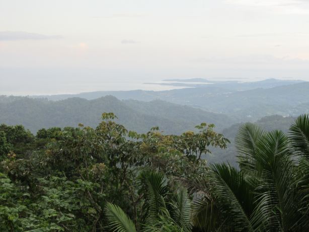 BioIsland