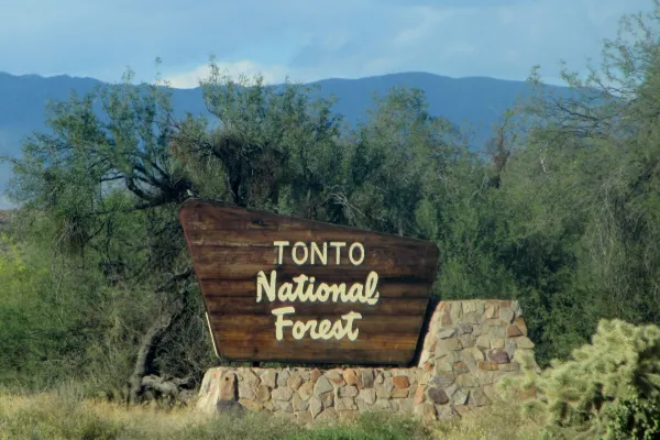 Tonto National Forest