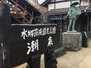 Suigo-Itako Iris Garden